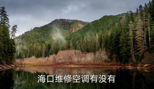 海口维修空调有没有