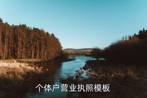 个体户营业执照模板