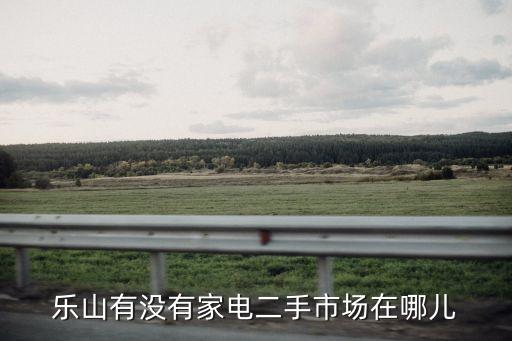 乐山有没有家电二手市场在哪儿