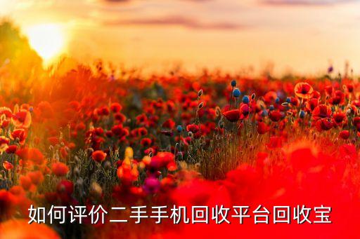 如何评价二手手机回收平台回收宝