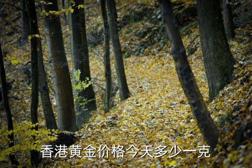 香港黄金价格今天多少一克