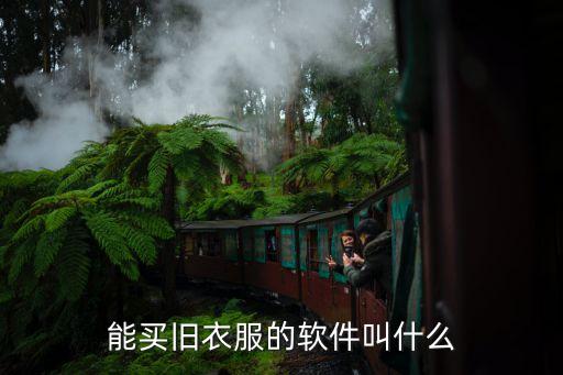 能买旧衣服的软件叫什么