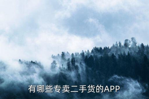 有哪些专卖二手货的APP