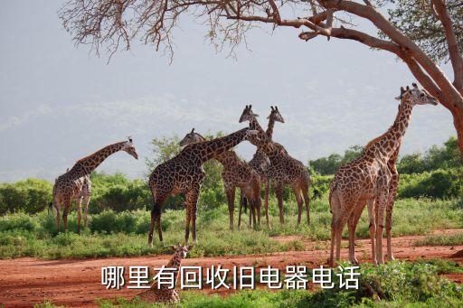 哪里有回收旧电器电话