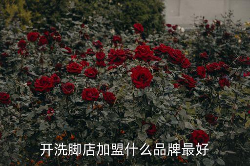 足疗店加盟品牌有哪些，洗脚店加盟哪个连锁店好