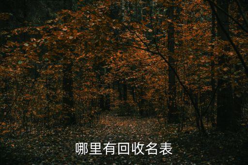 哪里有回收名表