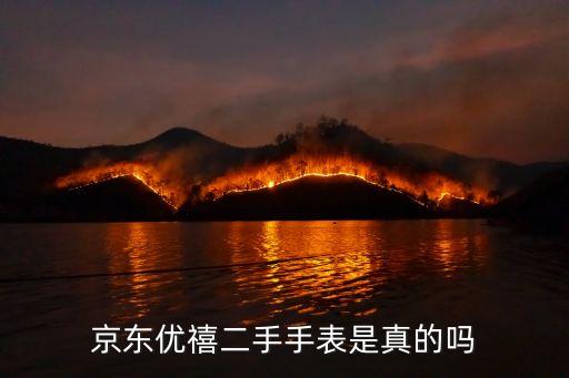 京东优禧二手手表是真的吗
