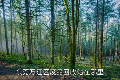 东莞万江区废品回收站在哪里