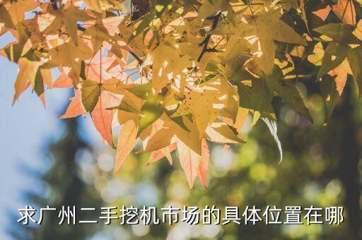 求广州二手挖机市场的具体位置在哪
