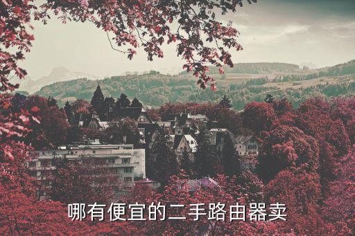 哪有便宜的二手路由器卖