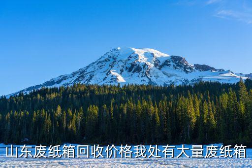 山东废纸箱回收价格我处有大量废纸箱