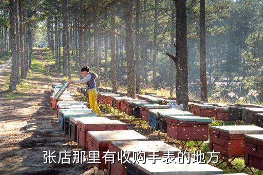 卡西欧店里回收吗，casio专卖店回收旧表吗