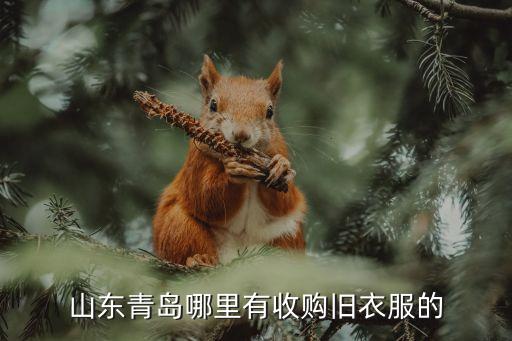 山东青岛哪里有收购旧衣服的