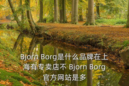 Bjorn Borg是什么品牌在上海有专卖店不 Bjorn Borg官方网站是多