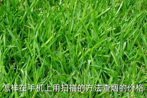 怎样在手机上用扫描的方法查烟的价格