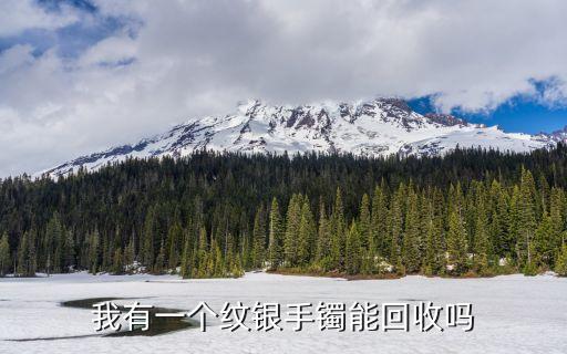 我有一个纹银手镯能回收吗