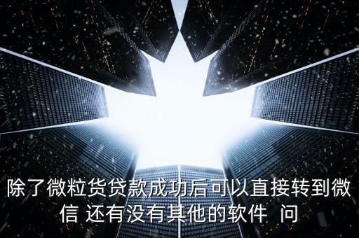 除了微粒货贷款成功后可以直接转到微信 还有没有其他的软件  问