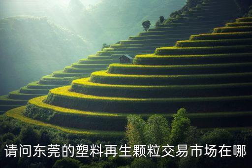 请问东莞的塑料再生颗粒交易市场在哪