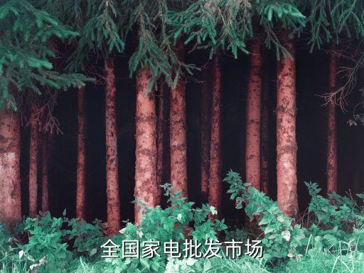 全国家电批发市场