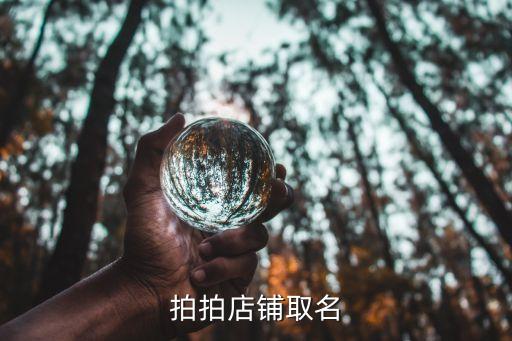 拍拍店铺取名