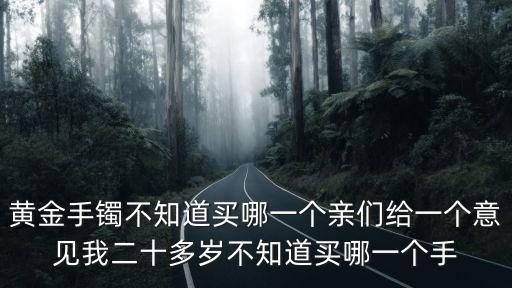 黄金手镯不知道买哪一个亲们给一个意见我二十多岁不知道买哪一个手