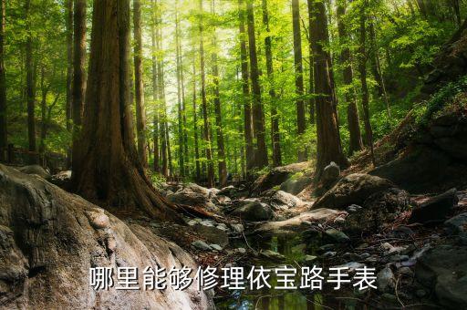 依波路手表售后服务地址钟祥市，菜百买的依波路手表售后在哪