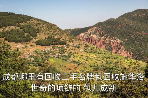 成都哪里有回收二手名牌包回收施华洛世奇的项链的 包九成新