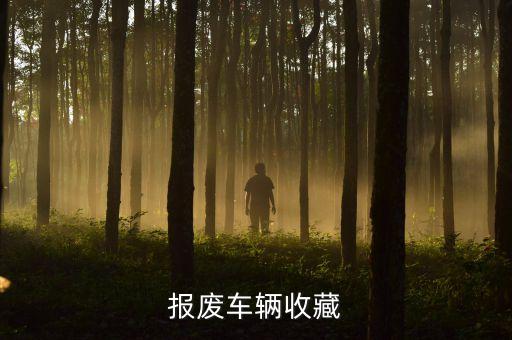 报废车辆收藏