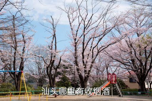 塘厦烟酒回收，厦门烟酒回收