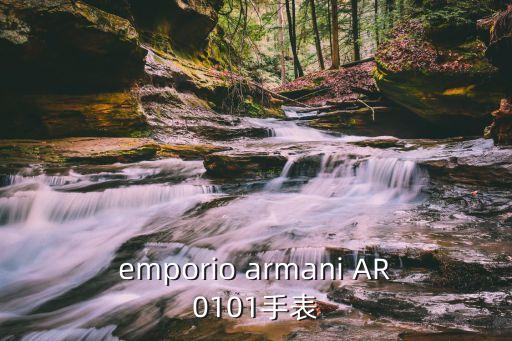 emporio armani AR0101手表