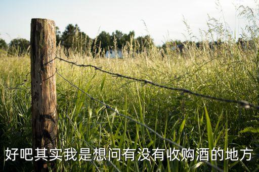 好吧其实我是想问有没有收购酒的地方