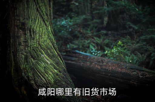 咸阳有没有回收旧衣服的，咸阳哪里有旧货市场