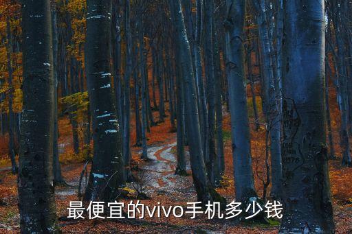 最便宜的vivo手机多少钱