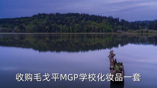 收购毛戈平MGP学校化妆品一套