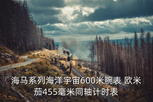 欧米茄海马600，欧米茄手表23110306056001海马系列价格怎么样