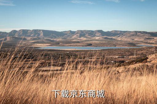下载京东商城