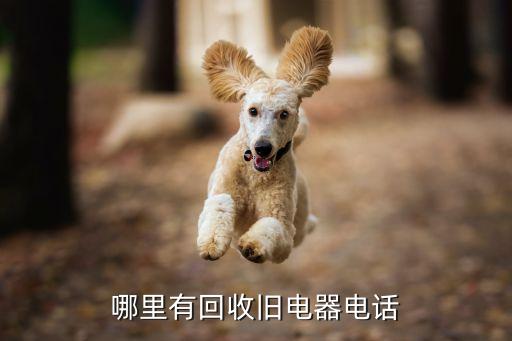 哪里有回收旧电器电话