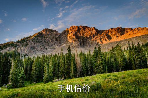 手机估价