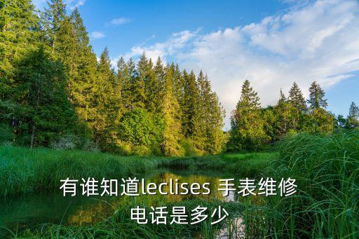 有谁知道leclises 手表维修电话是多少