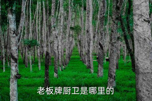老板牌厨卫是哪里的
