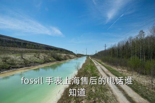 fossil 手表上海售后的电话谁知道