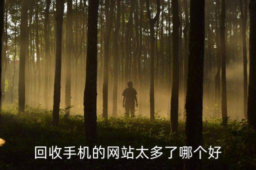 回收手机的网站太多了哪个好