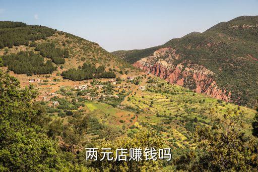 两元店赚钱吗