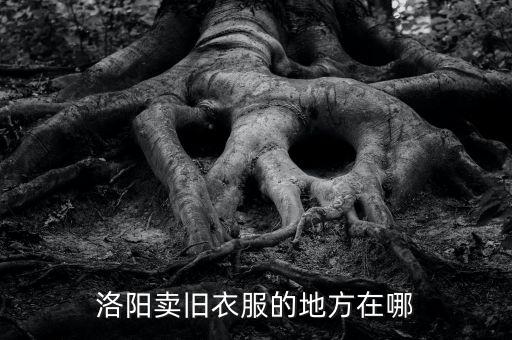 洛阳卖旧衣服的地方在哪