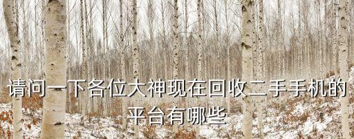 请问一下各位大神现在回收二手手机的平台有哪些