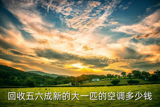 新空调回收大概多少钱，我在上海我想把空调卖了56层新是1P的大概能卖多少钱