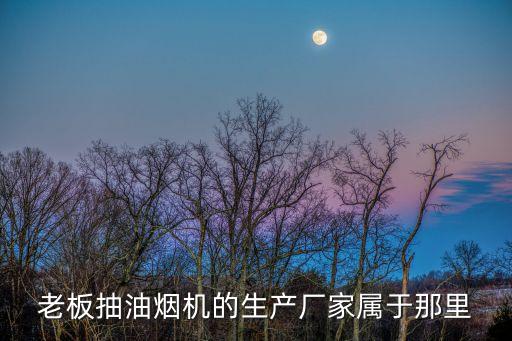 老板抽油烟机的生产厂家属于那里