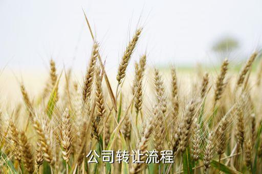 公司转让流程