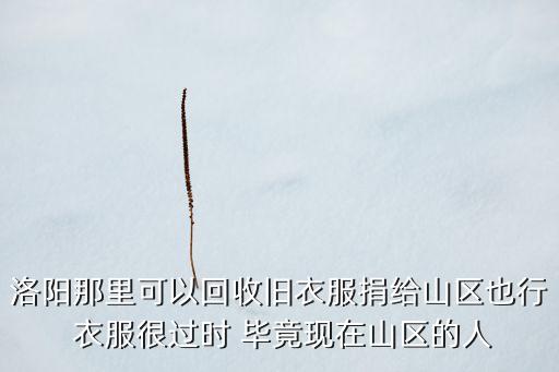 洛阳那里可以回收旧衣服捐给山区也行 衣服很过时 毕竟现在山区的人
