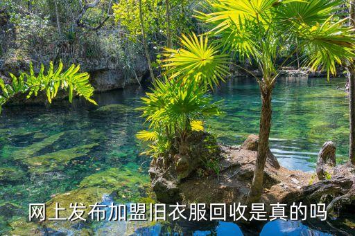 收旧衣服加盟8800元是骗局吗，网上发布加盟旧衣服回收是真的吗